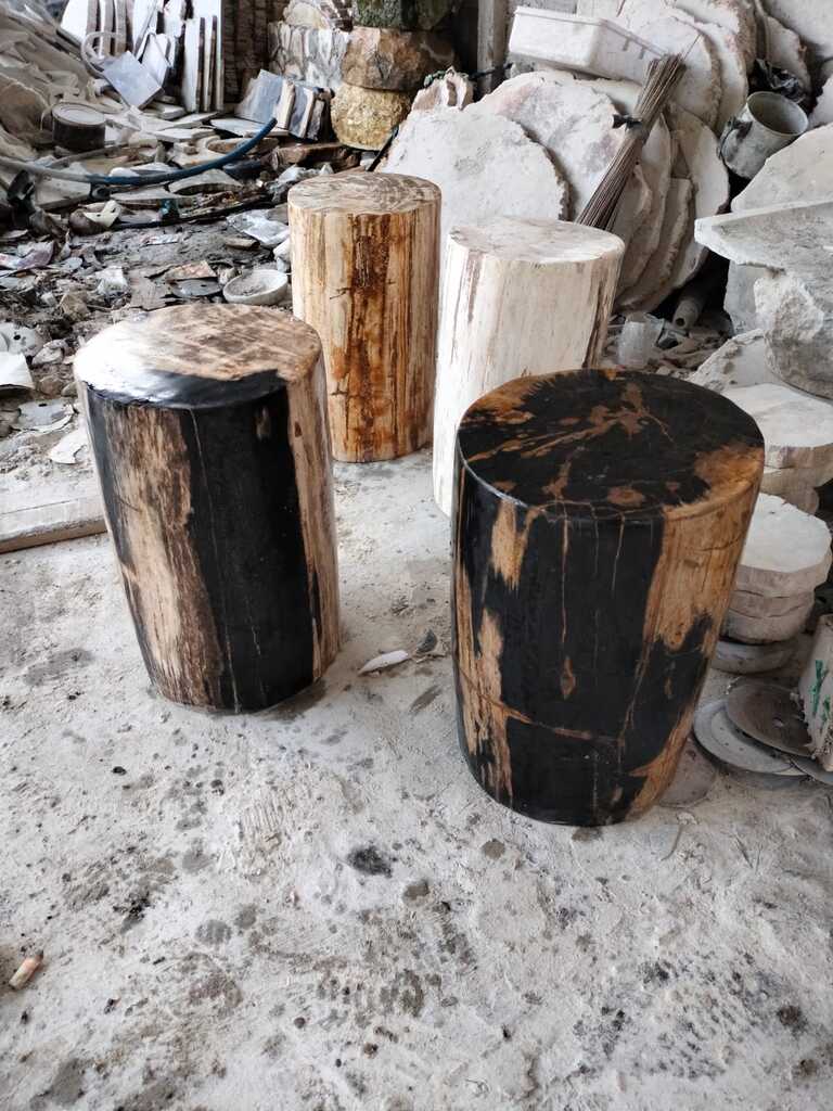 12-Petrified Wood Stool Outside Glossy - Black (木化石スツール）