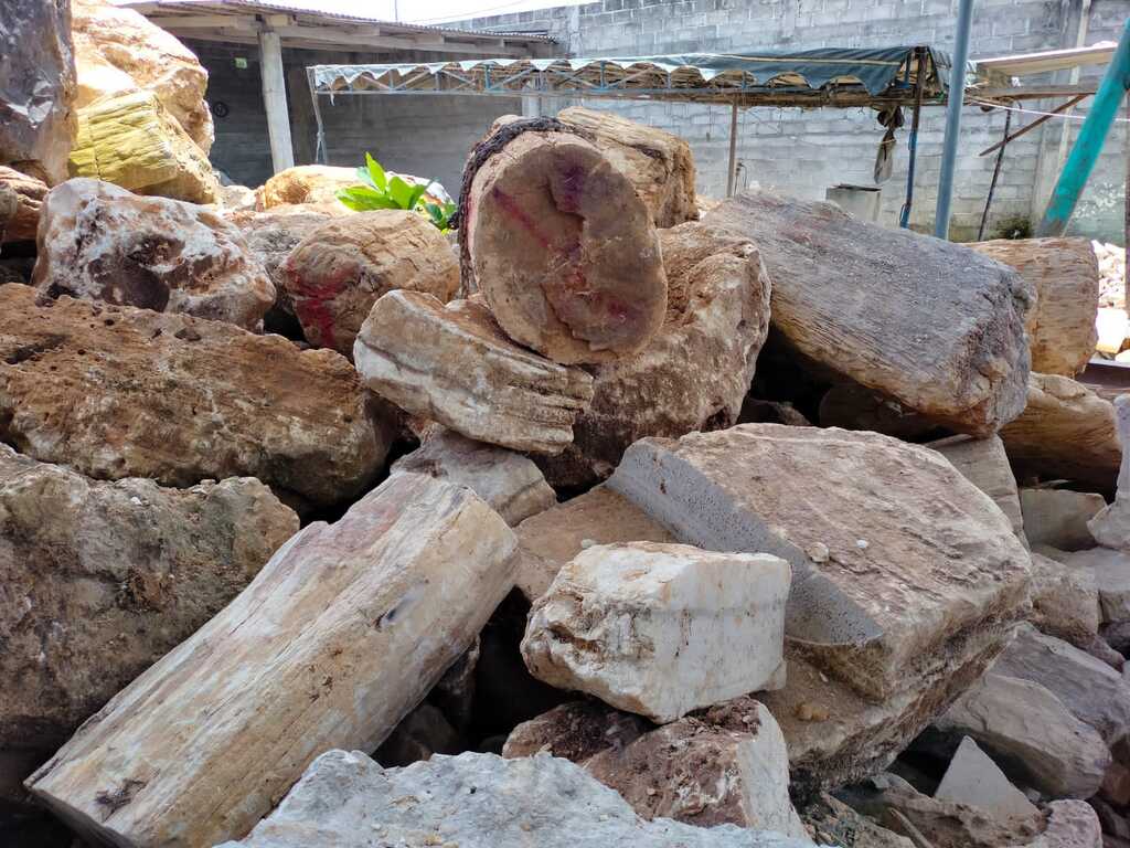 15-Petrified Wood Rough Blocks (木化石）